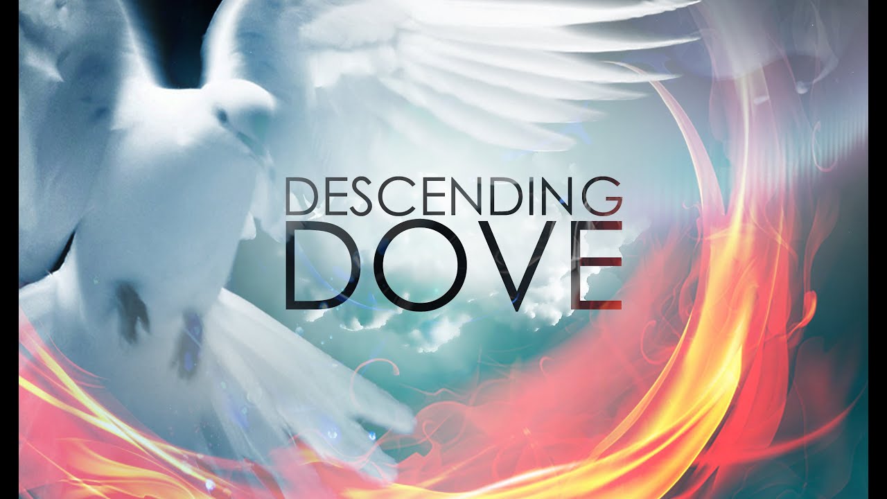 Featured image for 'Descending Dove'