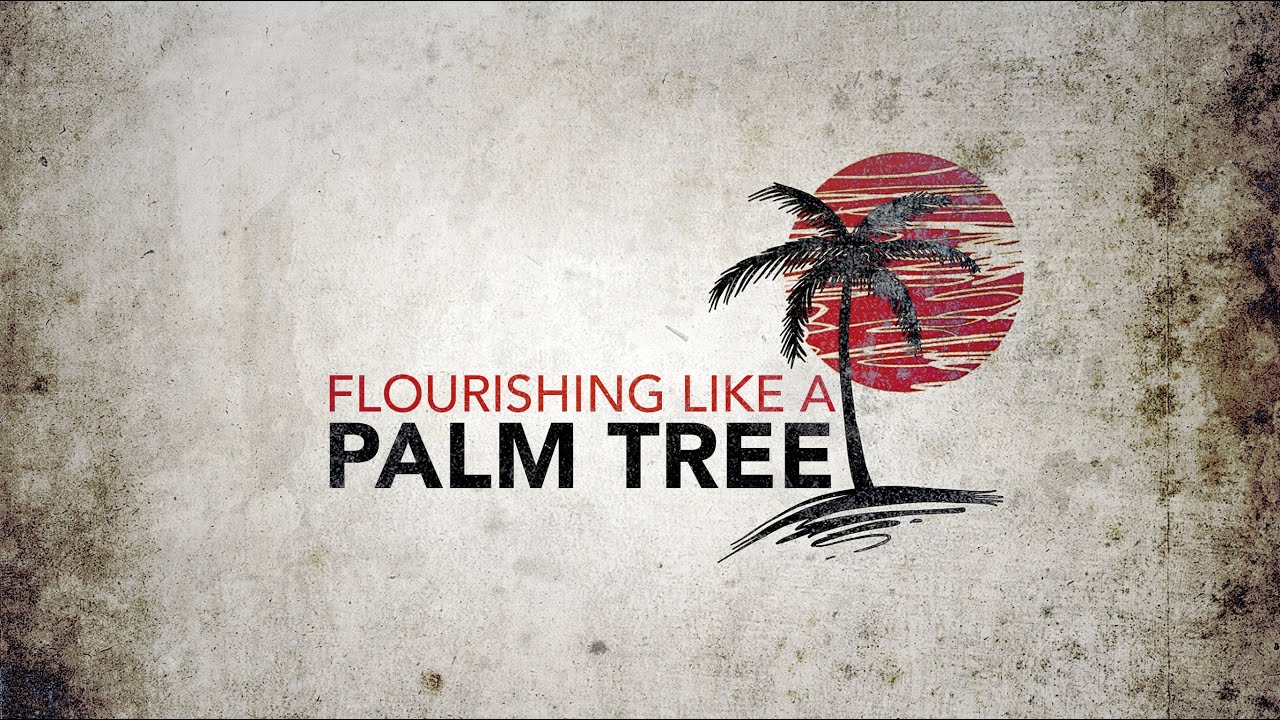 Featured image for 'Flourishing Like a Palm Tree'