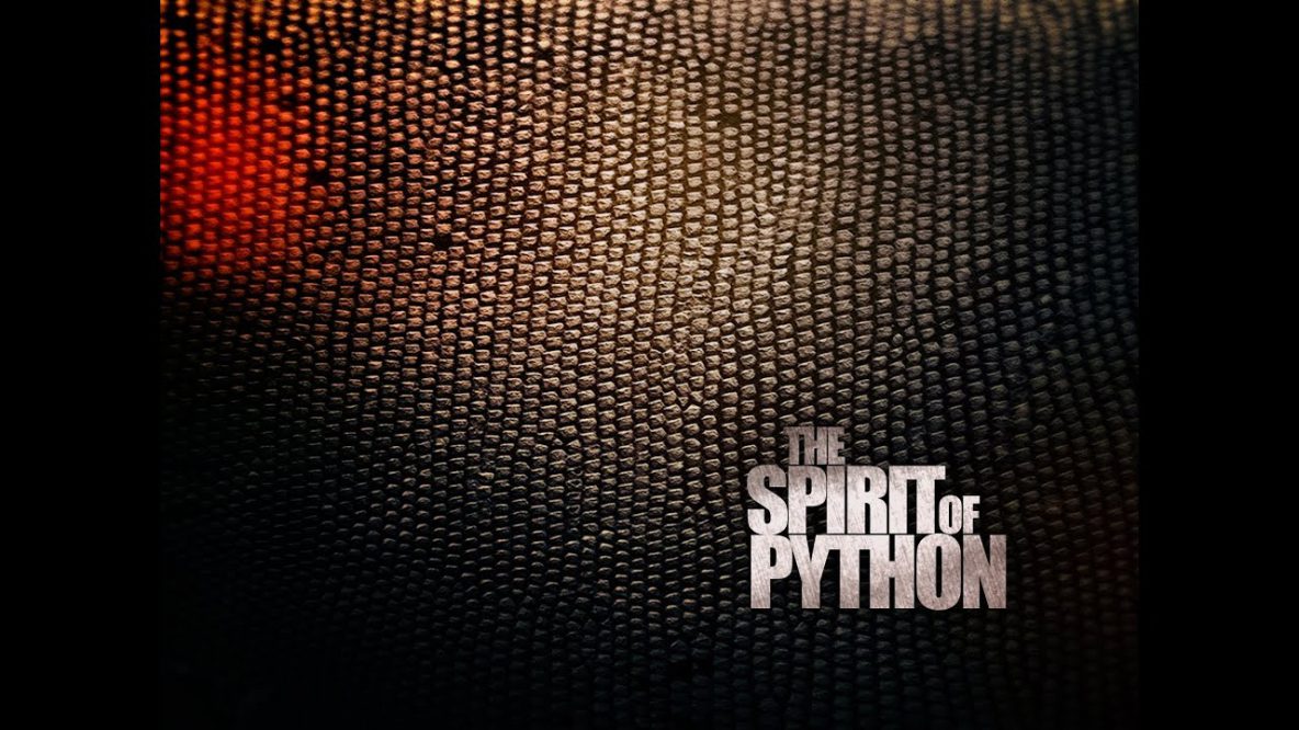 Spirit of Python