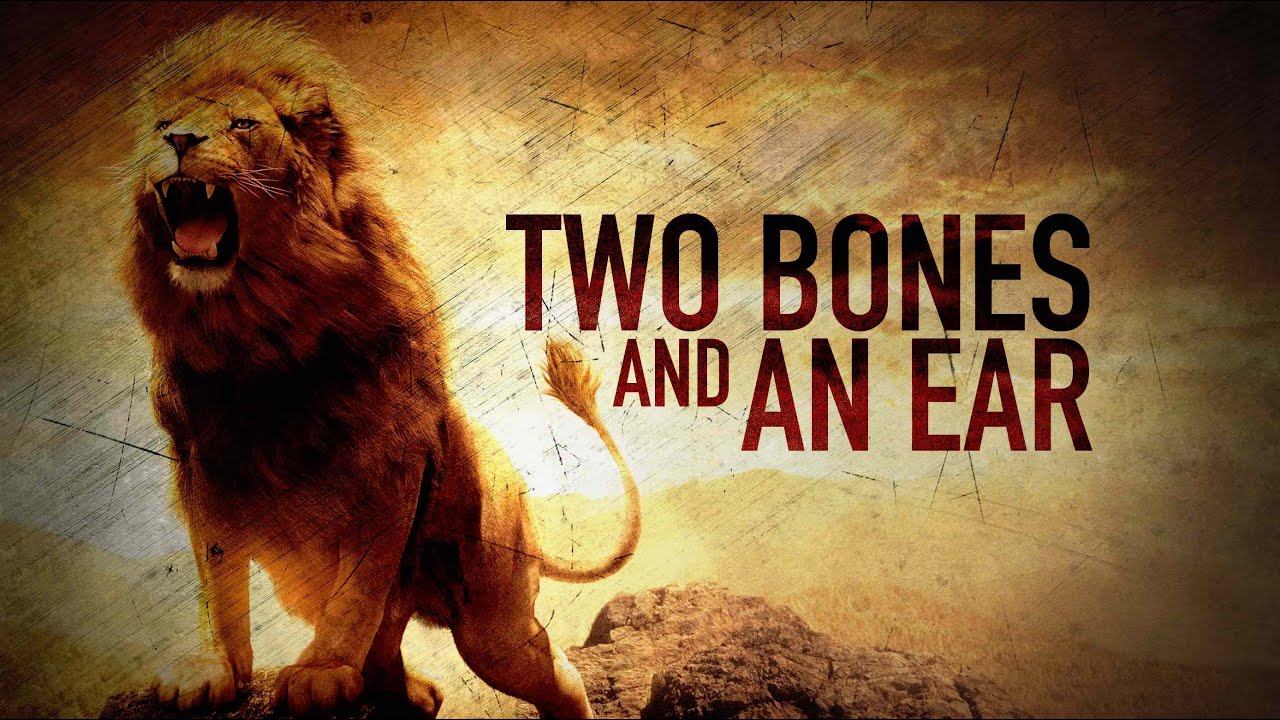 Featured image for 'Two Bones and an Ear'