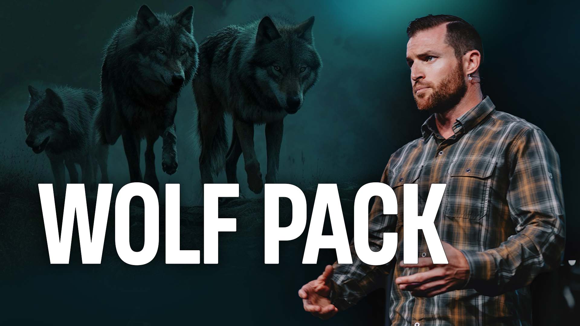 Featured image for 'Wolf Pack'