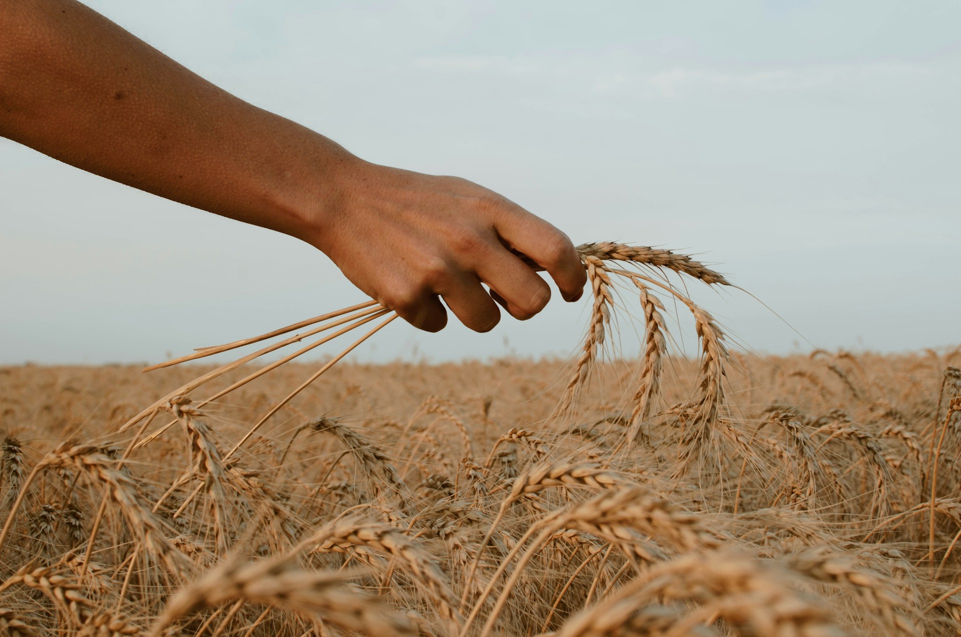 Featured image for 'Beyond Followers – The Call To Make Disciples'