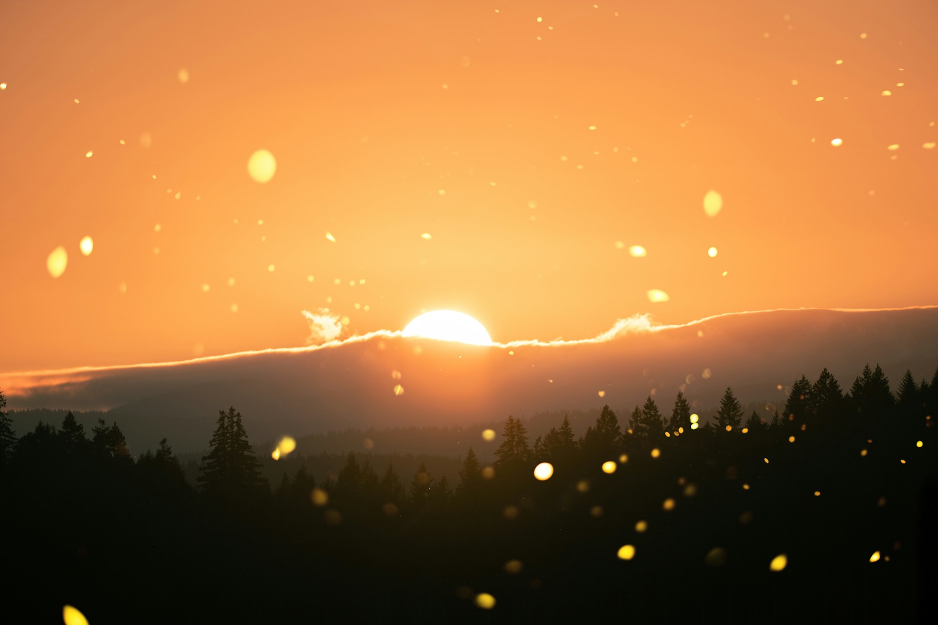 Featured image for 'The Awe of God'